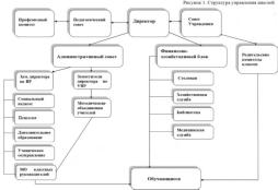 Структура управления школой